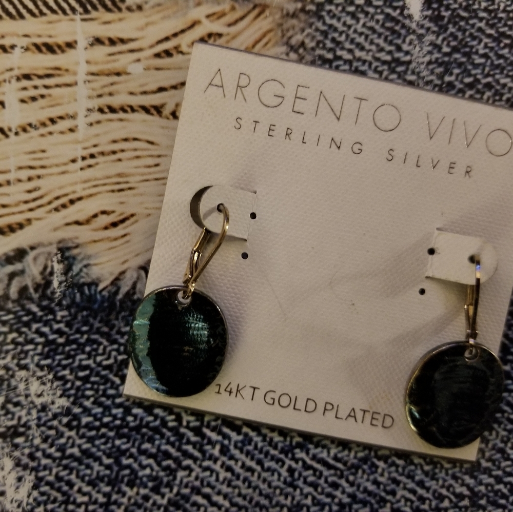 Blue Dangle Earrings